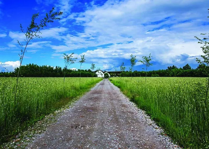 Hot_Elarnia Hotel & Spa 4*